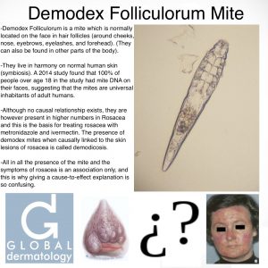 Demodex Folliculorum (mite)