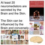 At Least 20 Neuromediators Are Secreted By The Brain And The Skin. The Skin Can Be Influenced By The Brain And Conversely